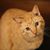 Tu Katner's profile image