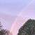 Sue Collins Eakins's profile image