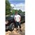 Miguel Gonzalez Pedraza's profile image