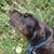 Diane Schneider's profile image