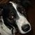 Chris Roby's profile image