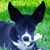 Sheline Bell's profile image