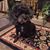 Gail Alkovich's profile image