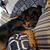 Sheila Widner's profile image