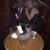 Santos Terrero's profile image
