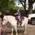 Pony Pretty Party Ponies's profile image
