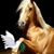 Mary Larry's profile image