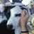 Dovie DeWeese's profile image