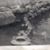 Joyce McCann's profile image