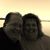 John Scully's profile image