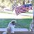 Mary Tomek Yelton's profile image