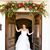 Chelsea Schoener's profile image