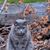 Sally Daffner's profile image