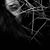 Lorena Aragon's profile image