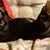 Susan Dekreon's profile image