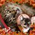 Deborah Penewell's profile image