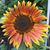 Heather Mundis's profile image