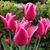 Kathy Luecke's profile image