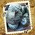 Ana Mobbs's profile image
