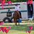 Debra Sandlin's profile image