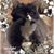 Shelley Parker Jeffrey's profile image