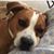 Kimberly Ross's profile image