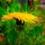 John E. Bielak's profile image