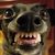 Luis Casco's profile image