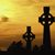 Colleen Kilkenny's profile image