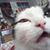 Donna Marie's profile image