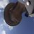 Johanna S. Jones's profile image