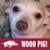 Debra Rice's profile image