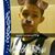 Jazhiel De la Cruz's profile image