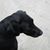 Robert Walker's profile image