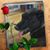 Amy Brown Denoyer's profile image
