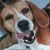 Jim M. Malveira's profile image