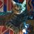 Steven Gleim's profile image