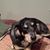 Marilynn Jones Leggio's profile image
