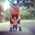 Shaun Hamel's profile image