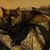 Mary Ann Wilds's profile image
