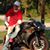 Branden Corriveau's profile image