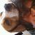 Joan E Johnson's profile image