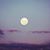 Iles Lily's profile image