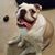 Heather Sorsdal's profile image