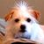 Sharon Huffman's profile image