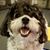Argie Samra's profile image