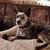 Susan Miller's profile image