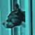 Felix Broncano's profile image