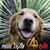 Crystal Swensen's profile image