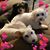 Pam Satterfield's profile image